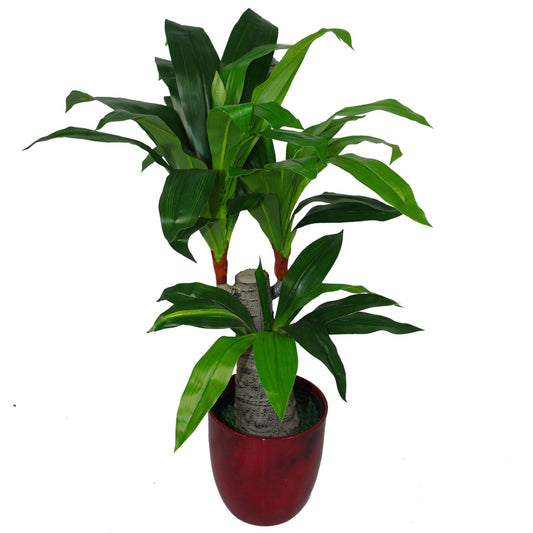 Artificial Dracaena Plant 75cm Tropical Plants-0